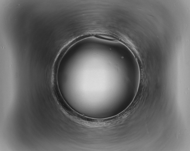 X0000116130012200911301356