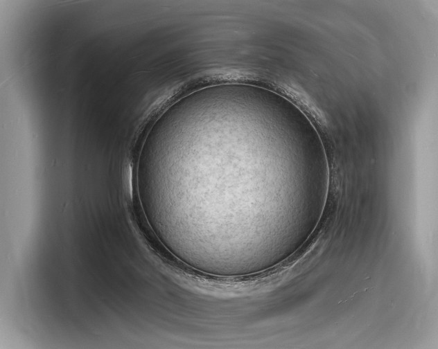 X0000116130014200911301356