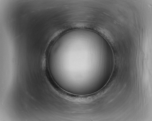X0000116130016200911301356