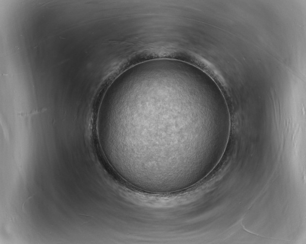 X0000116130018200911301356