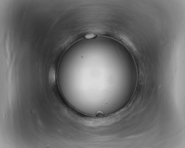 X0000116130021200911301356