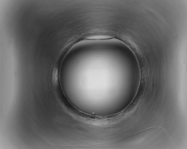 X0000116130024200911301356