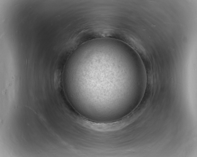X0000116130030200911301356