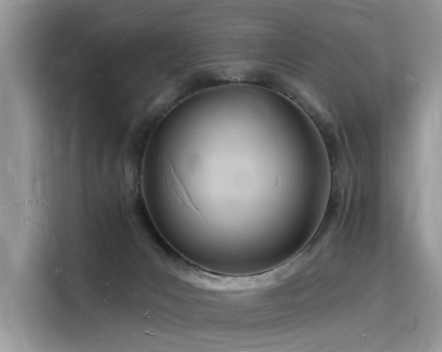 X0000116130031200911301356