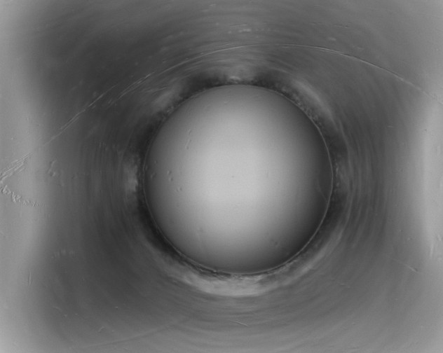 X0000116130032200911301356
