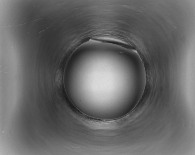 X0000116130036200911301356