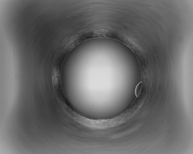 X0000116130038200911301356