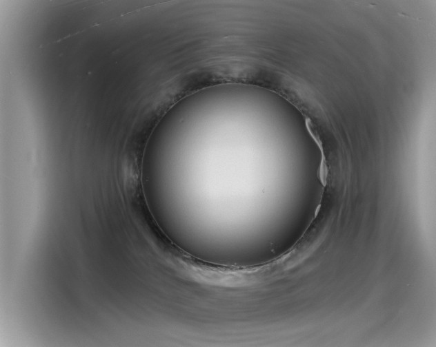 X0000116130040200911301356