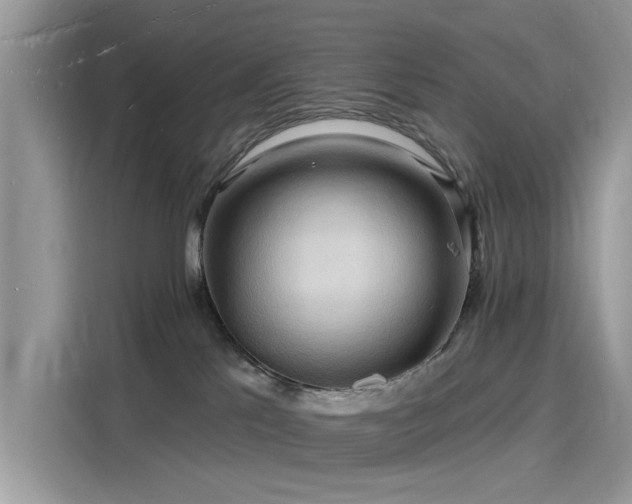 X0000116130041200911301356