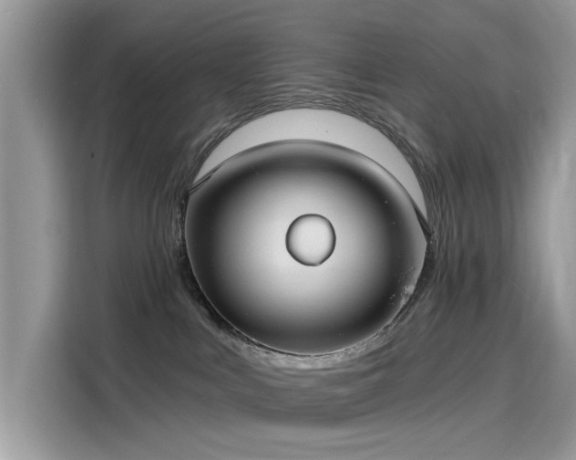 X0000116130043200911301356