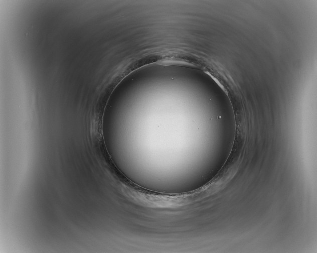 X0000116130044200911301356