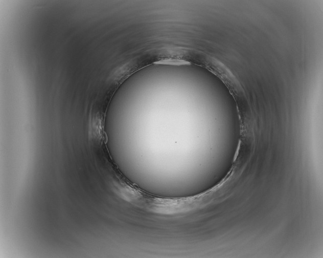 X0000116130045200911301356