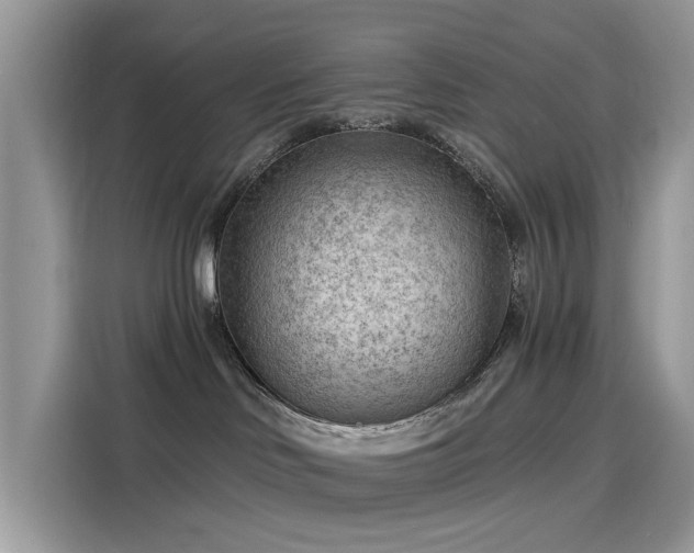 X0000116130046200911301356