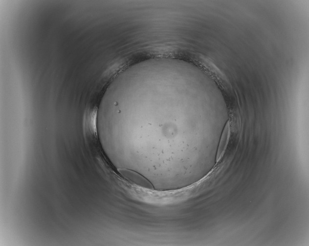 X0000116130047200911301356