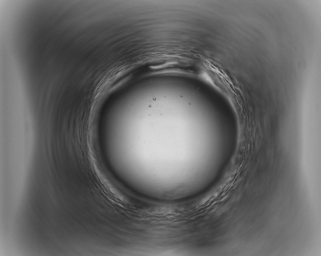 X0000116130049200911301355