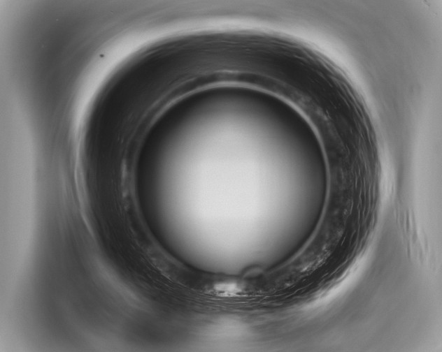 X0000116130050200911301355
