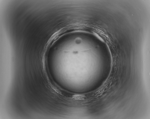 X0000116130051200911301355