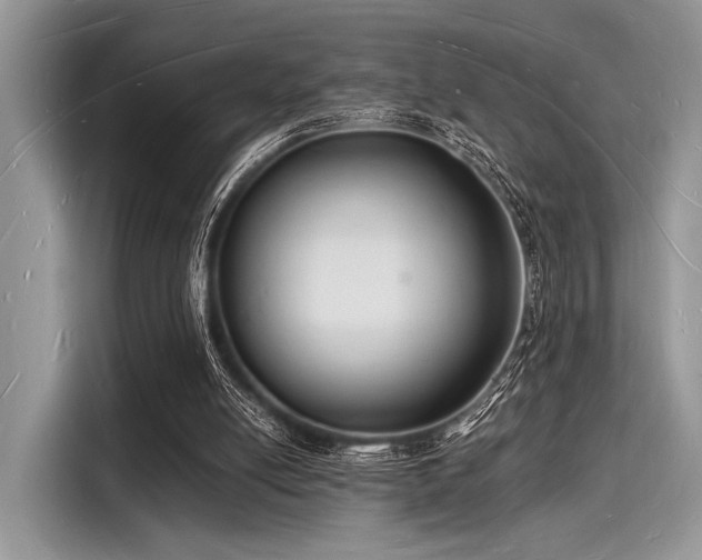 X0000116130054200911301355