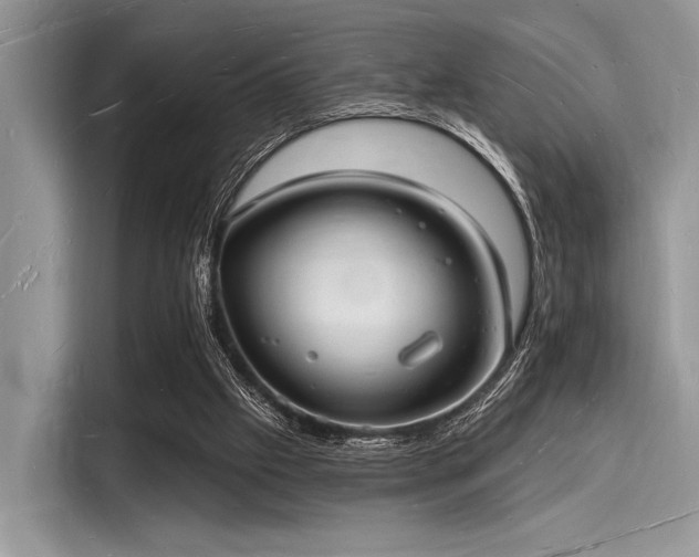 X0000116130057200911301355