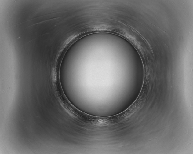 X0000116130060200911301355