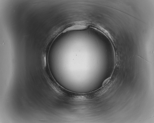 X0000116130061200911301355