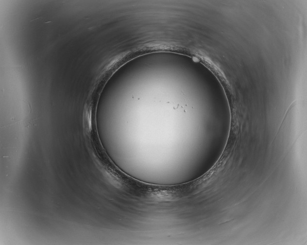 X0000116130062200911301355