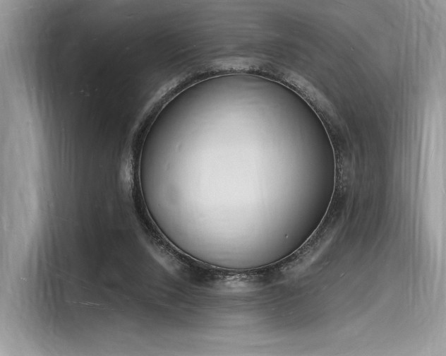 X0000116130064200911301355