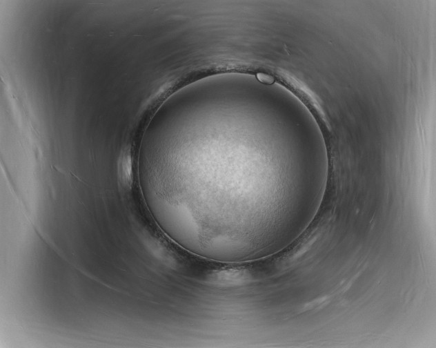 X0000116130067200911301355