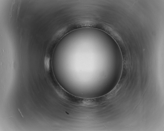 X0000116130070200911301355