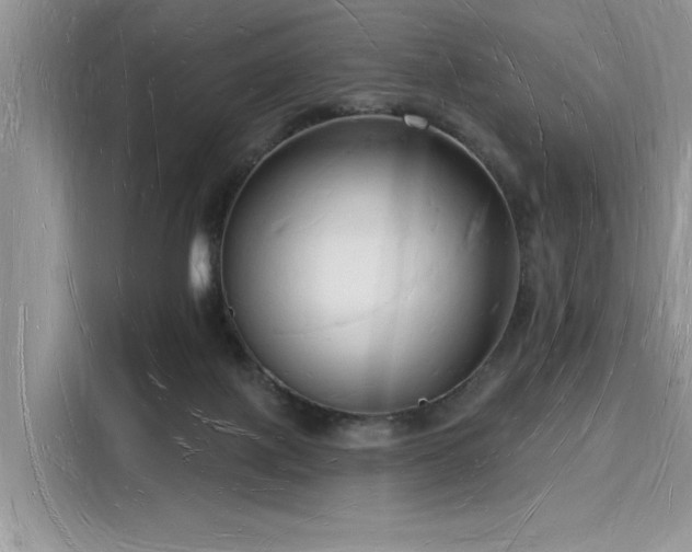X0000116130075200911301355