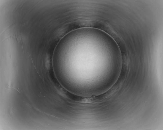 X0000116130080200911301355