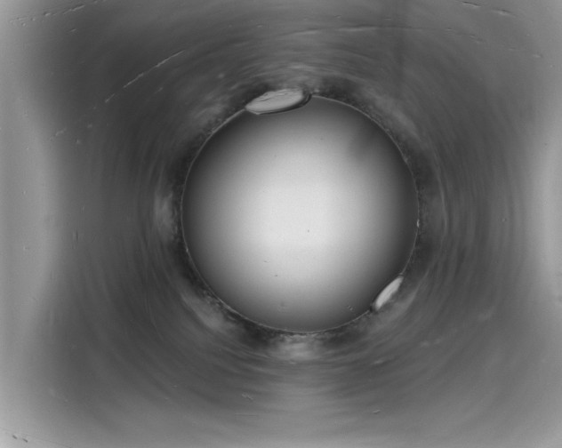 X0000116130088200911301355