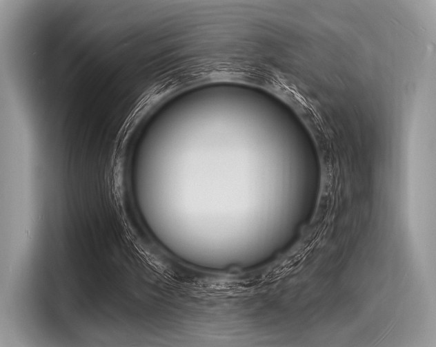 X0000116130098200911301355