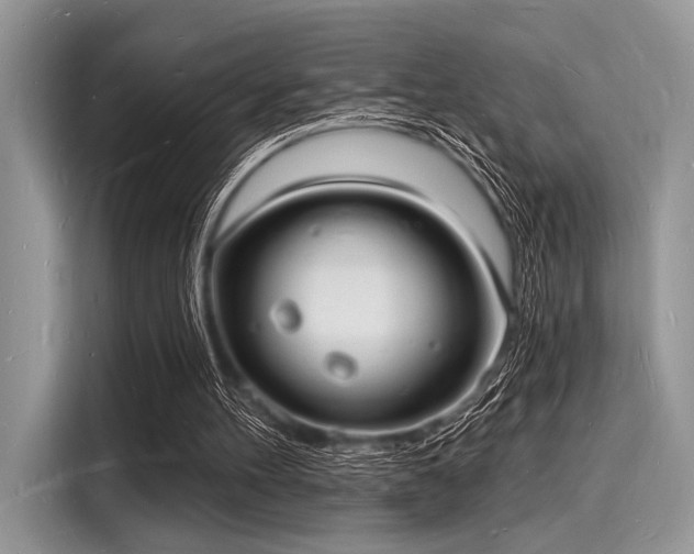 X0000116130100200911301355