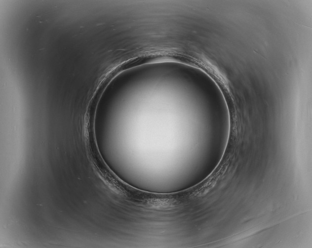 X0000116130107200911301355