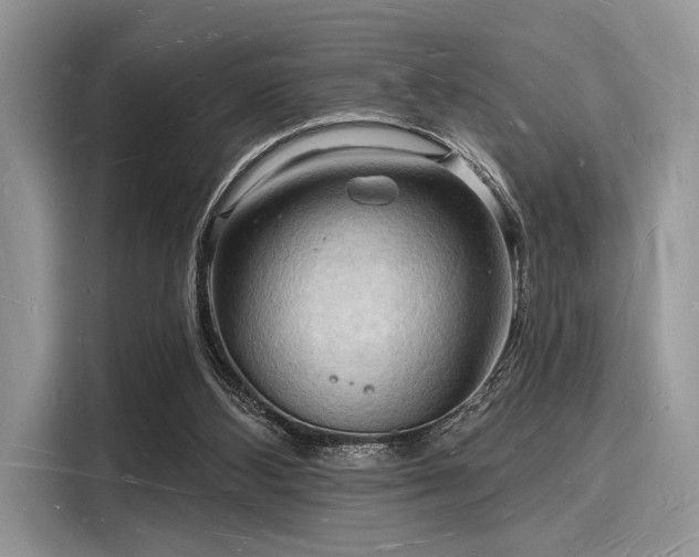 X0000116130108200911301355