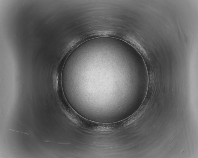 X0000116130110200911301355
