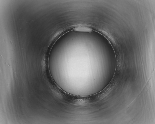 X0000116130111200911301355