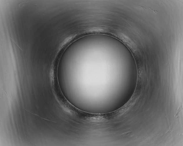 X0000116130112200911301355
