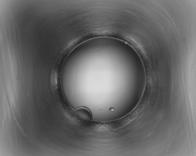X0000116130115200911301355