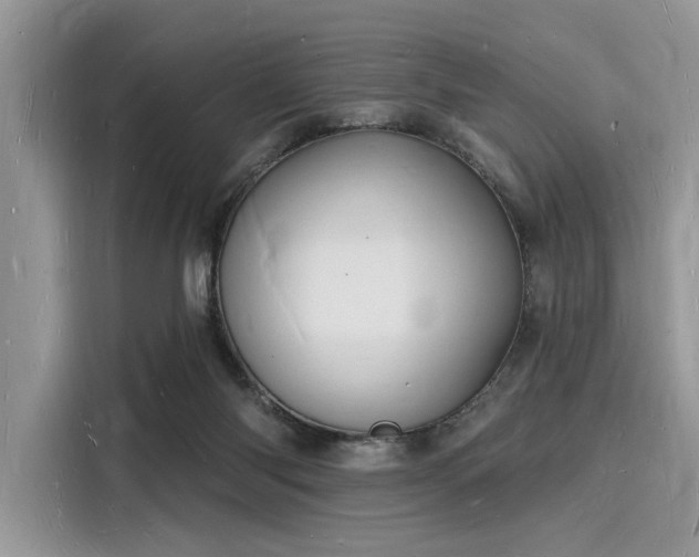 X0000116130118200911301355