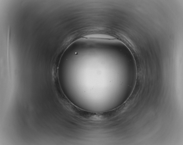 X0000116130119200911301355