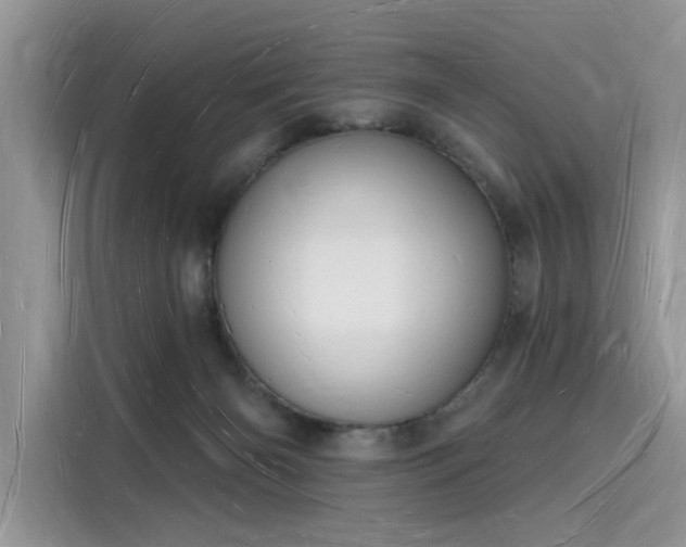 X0000116130126200911301355
