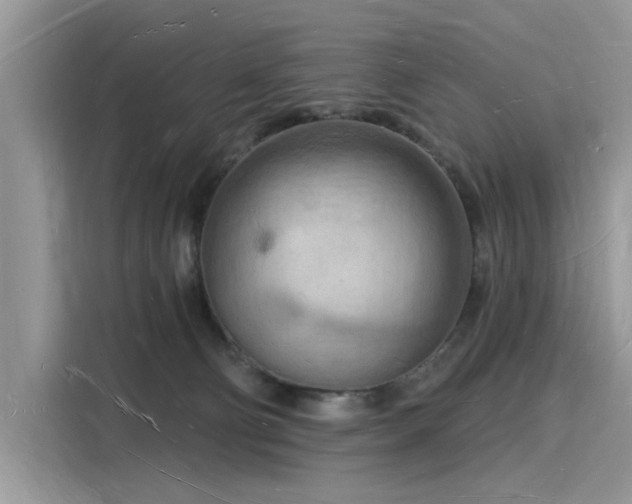 X0000116130130200911301354
