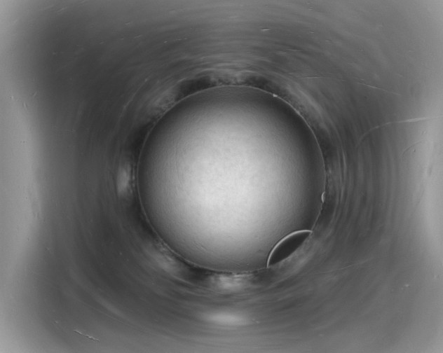 X0000116130134200911301354