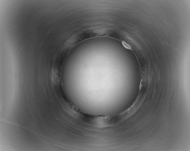 X0000116130136200911301354