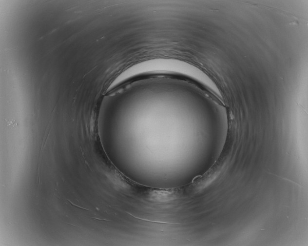 X0000116130139200911301354
