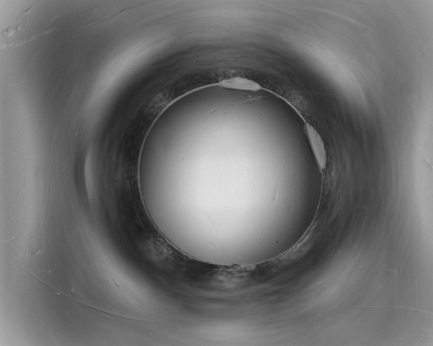 X0000116130140200911301354