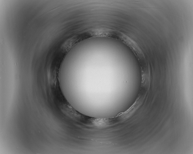 X0000116130142200911301354
