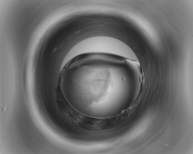 X0000116130143200911301354